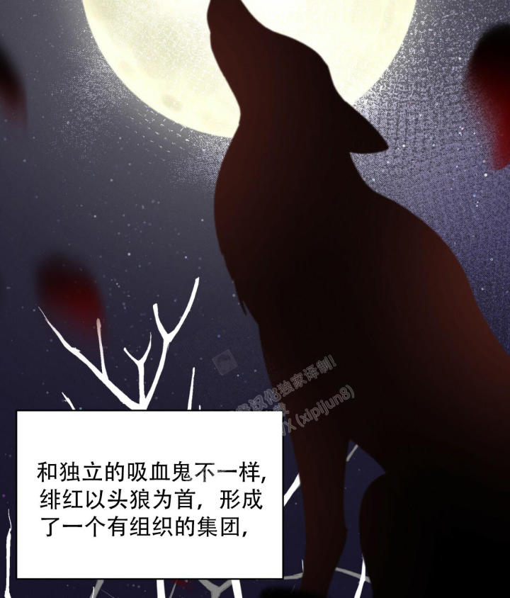 第14话88
