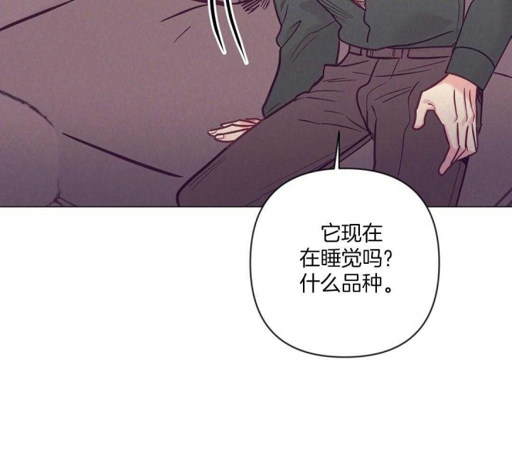第45话37