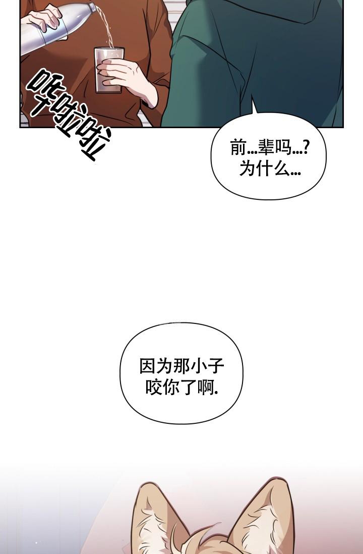 第7话11