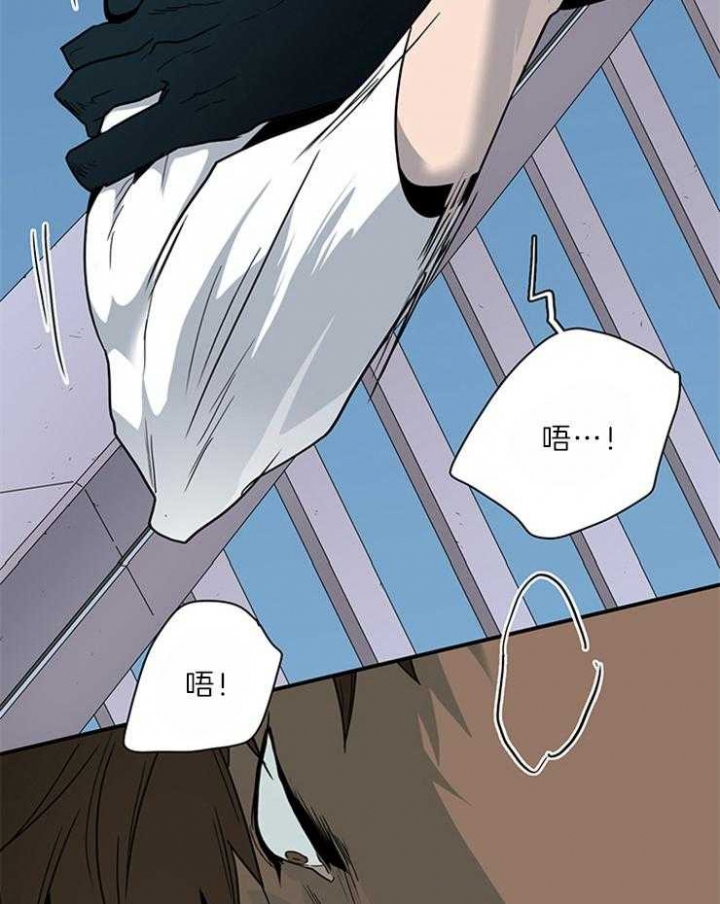 第204话3