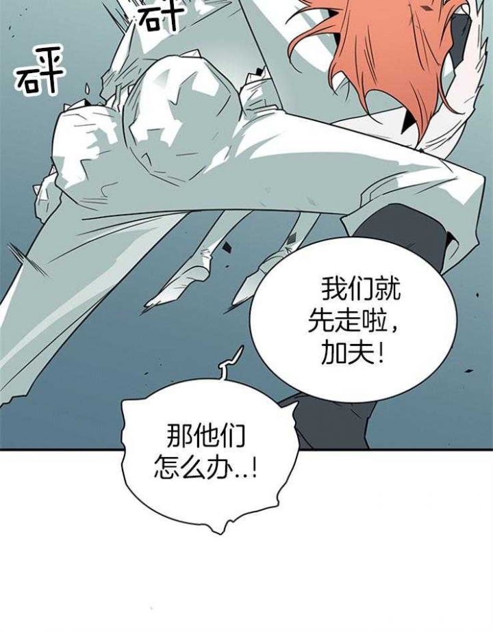 第209话17