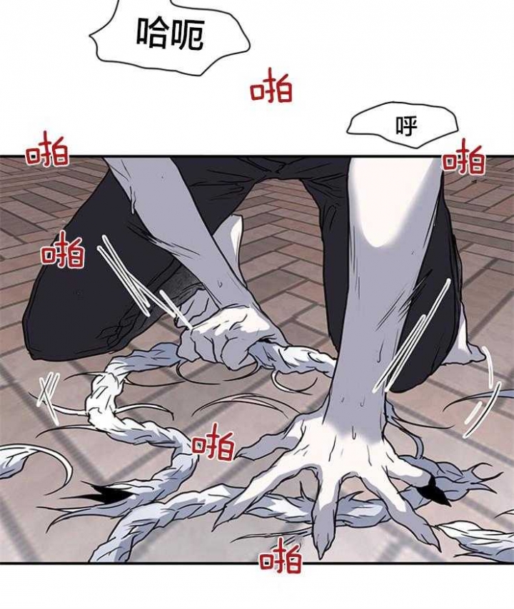 第146话29