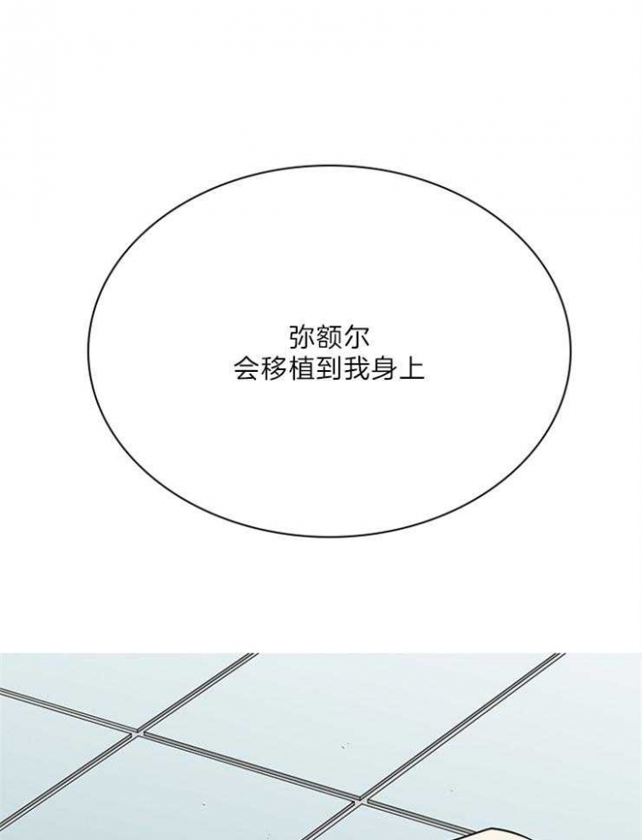 第205话14