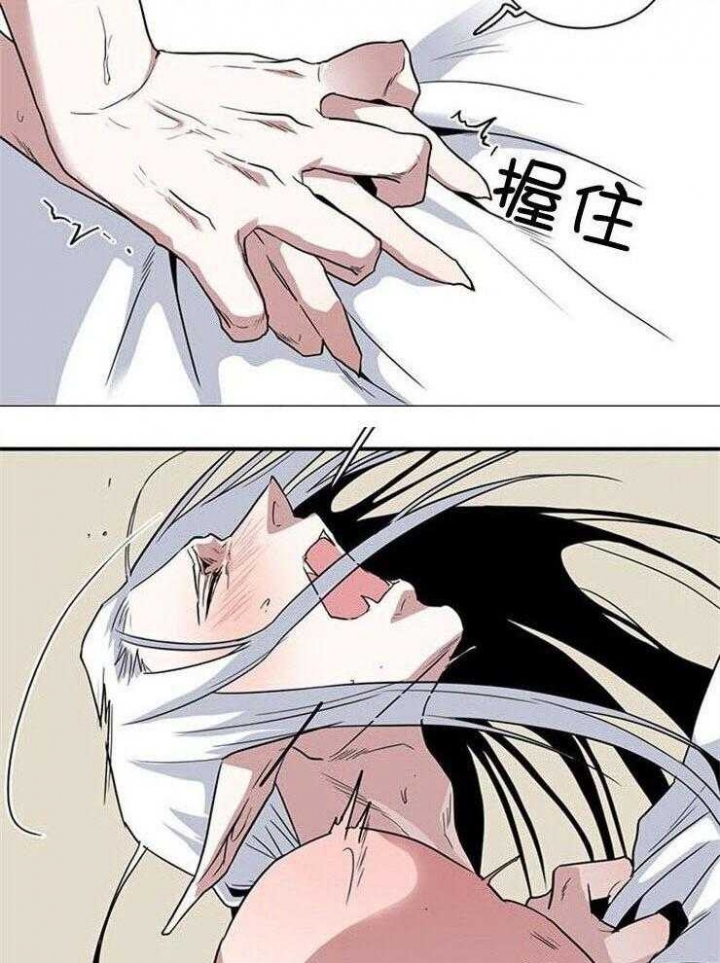 第213话19