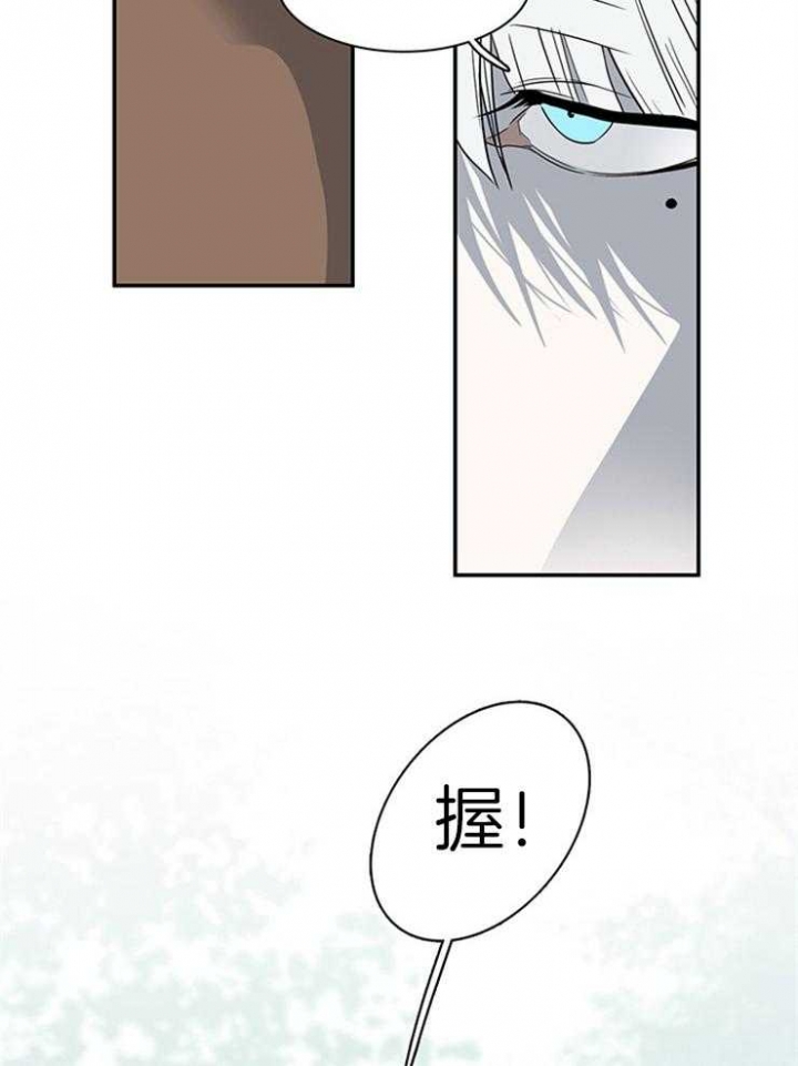 第200话17