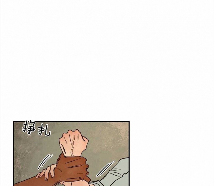第56话31