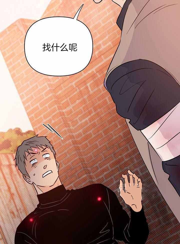 第117话24