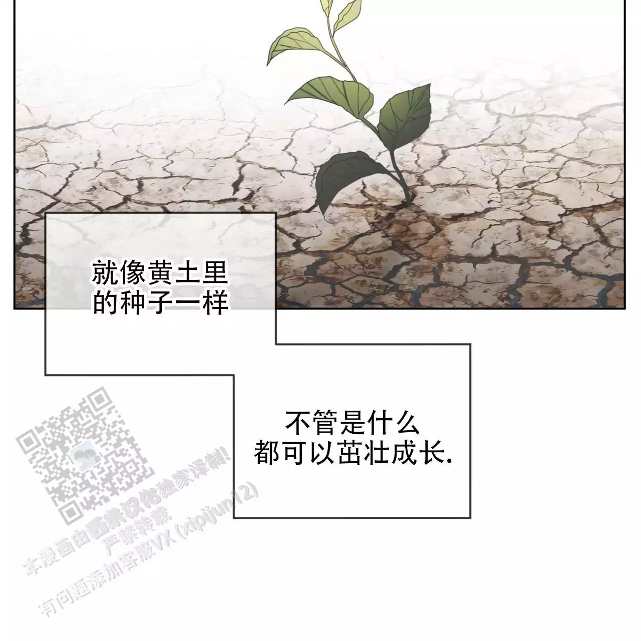 第116话4
