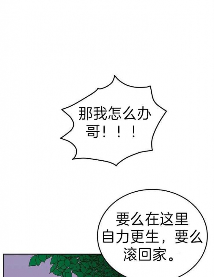 第44话22