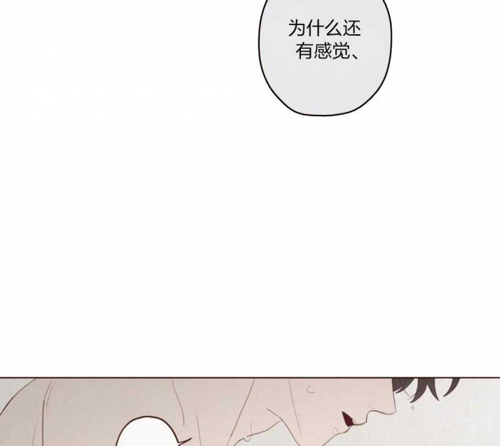 第117话3