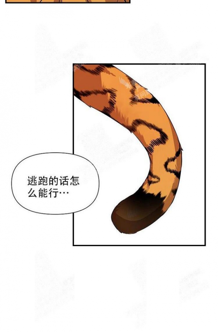 第25话24