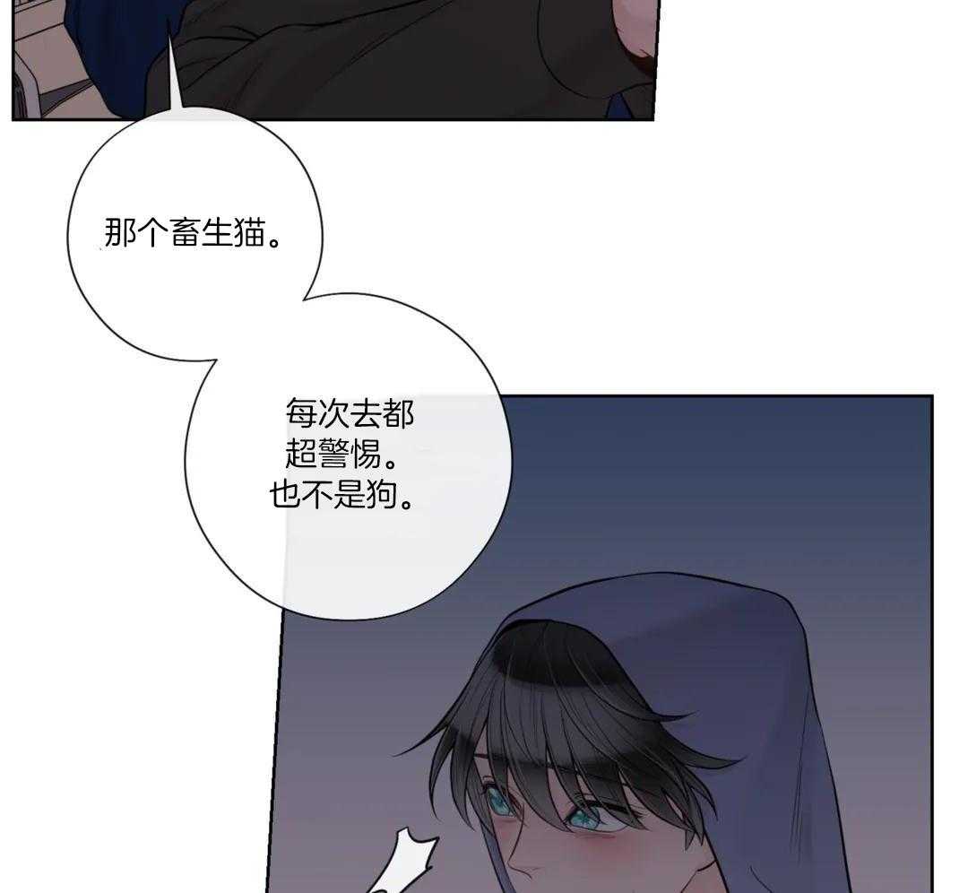 第97话29
