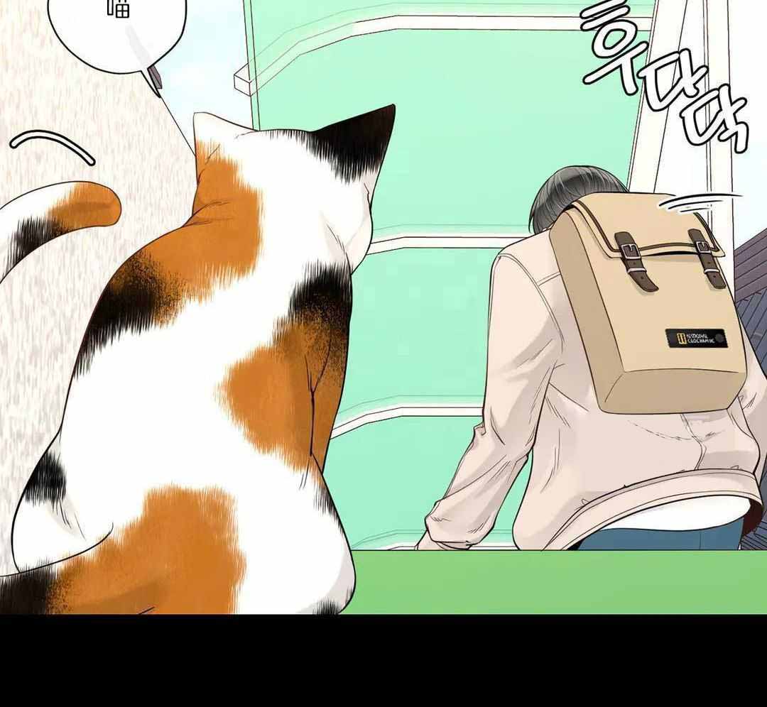 第95话34