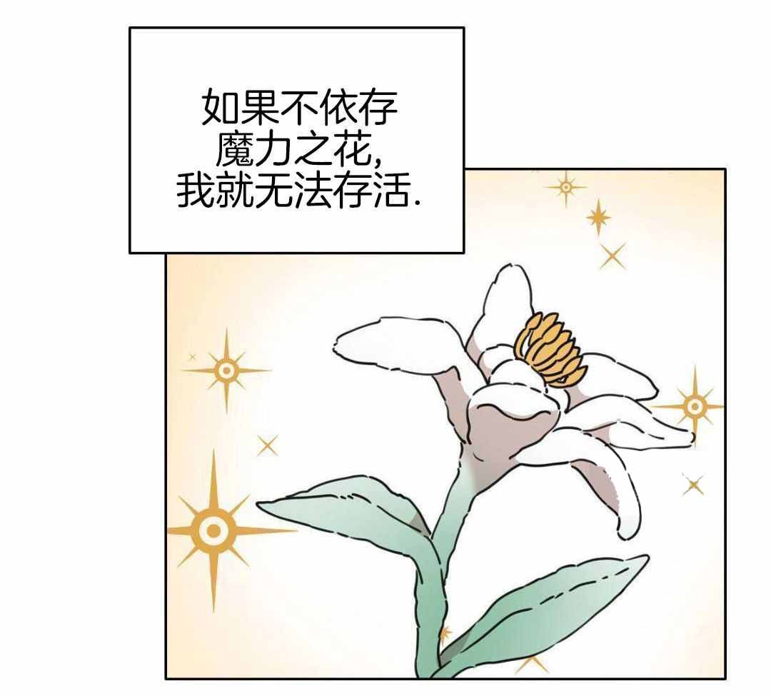 第41话12