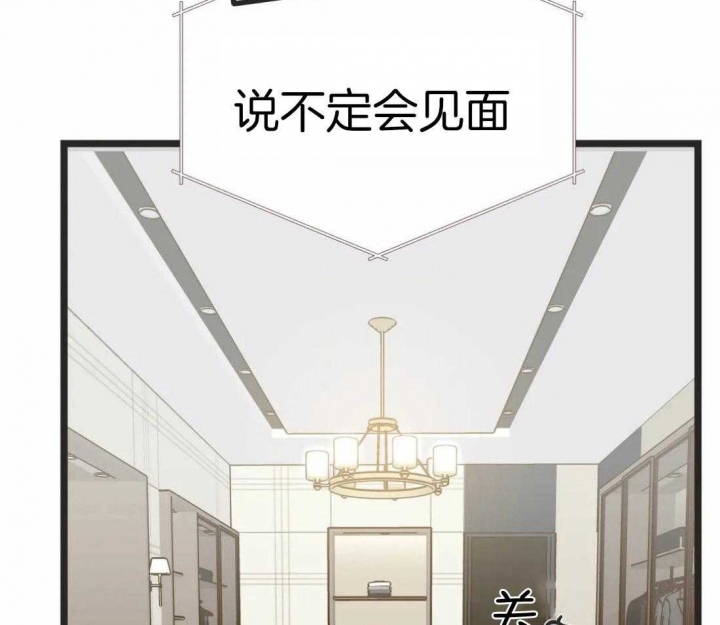 第204话19
