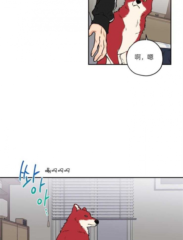 第36话17