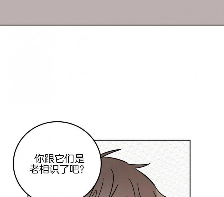 第17话53