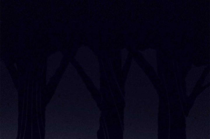 第71话61