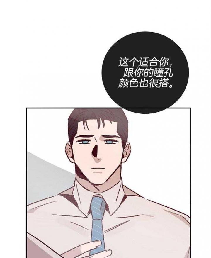 第52话33