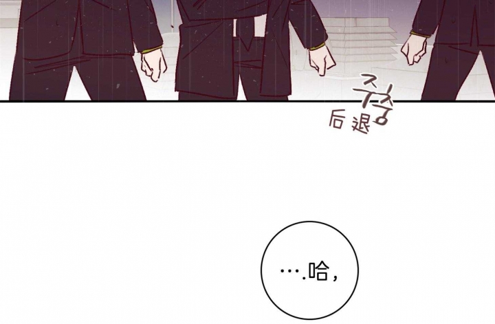 第61话66