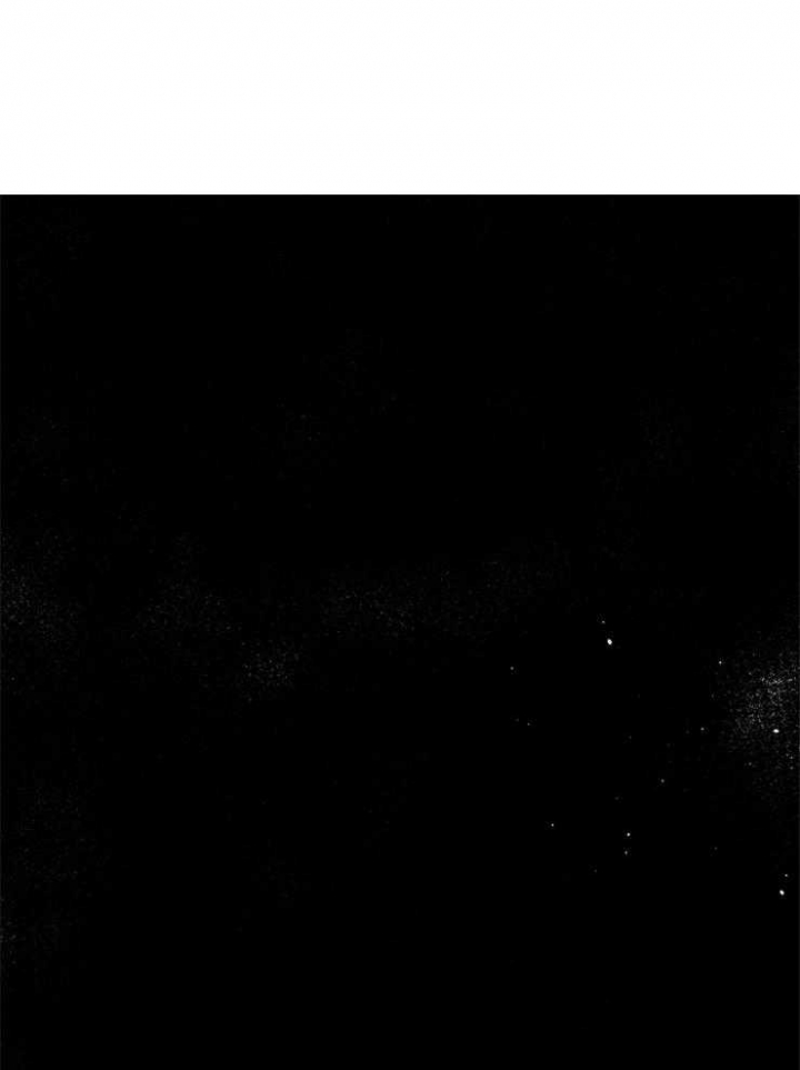 第68话15