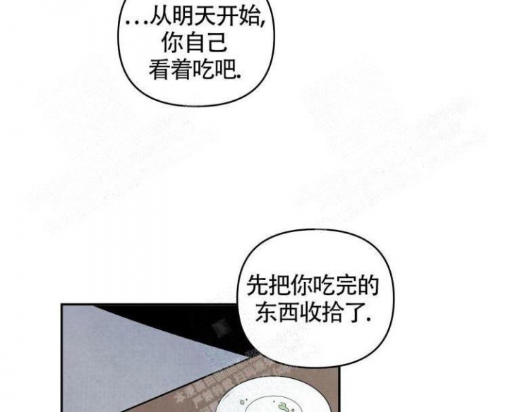 第11话8