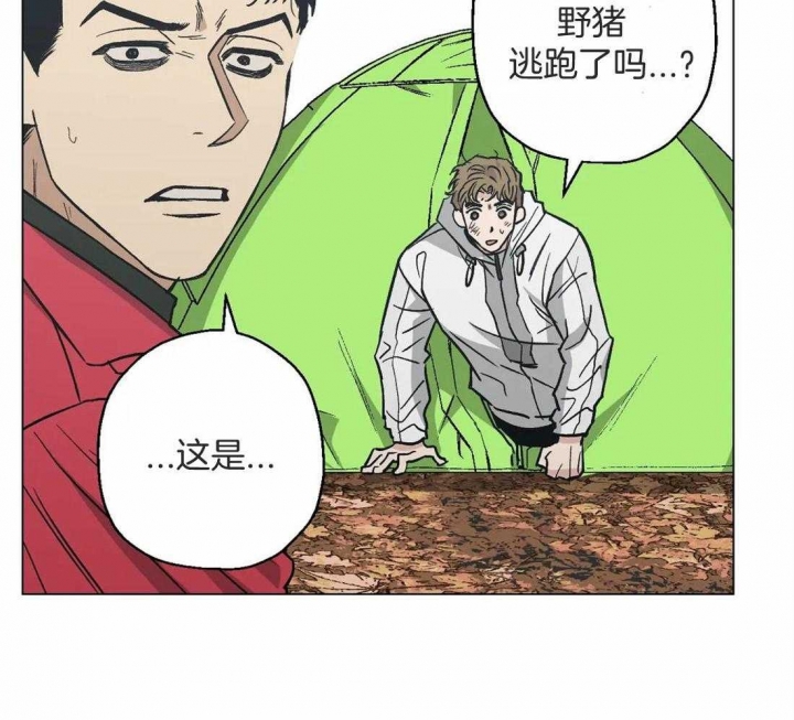 第36话33