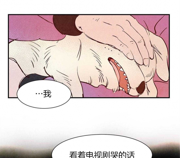 第42话8