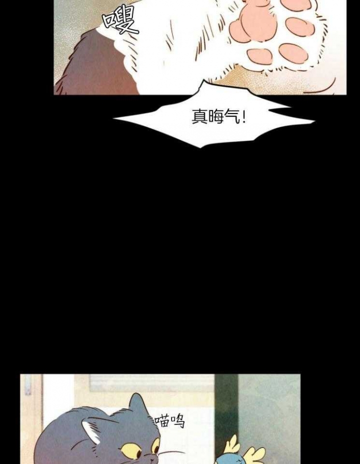 第79话17