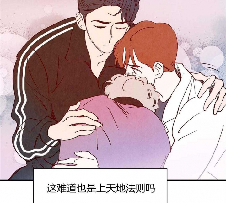 第44话19