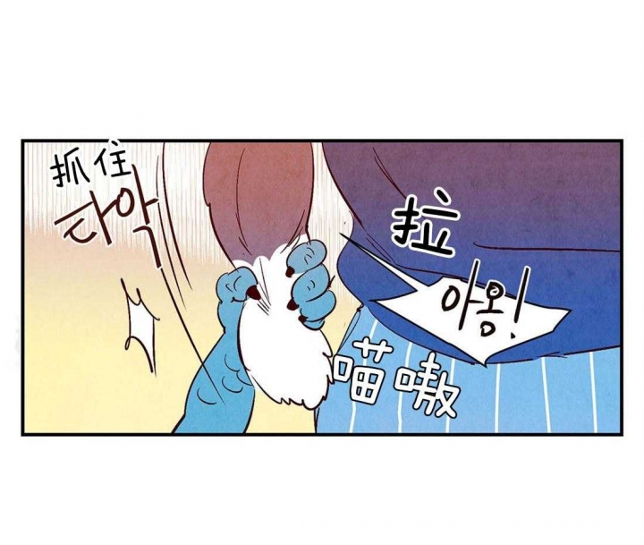 第50话19