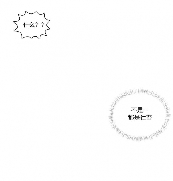 第27话27