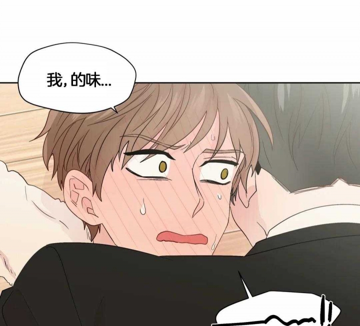 第117话3