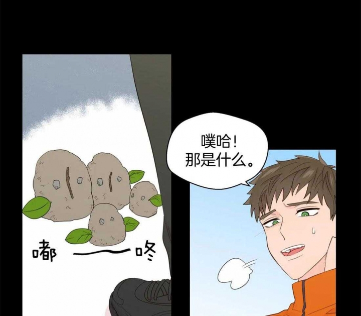 第75话6