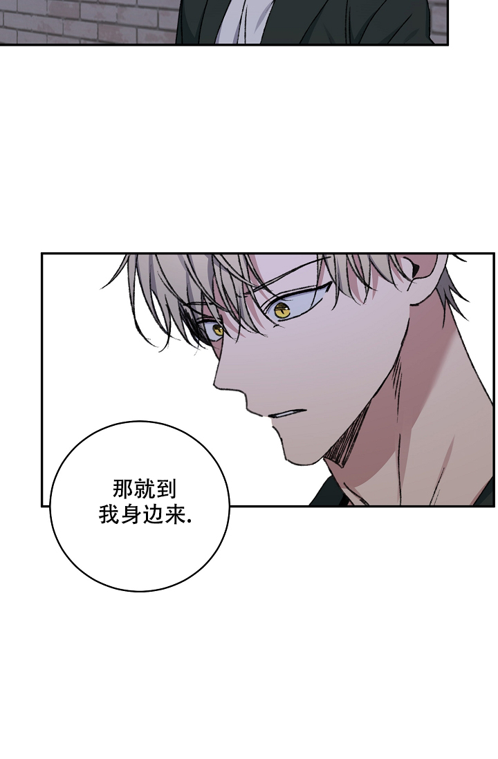 第118话25