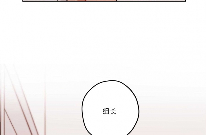 第31话19