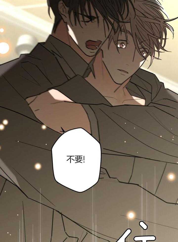 第117话11