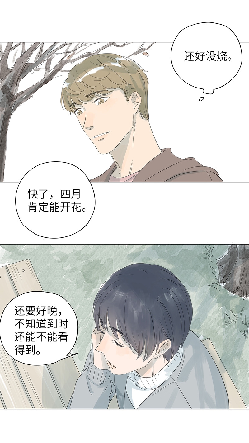 第46话12