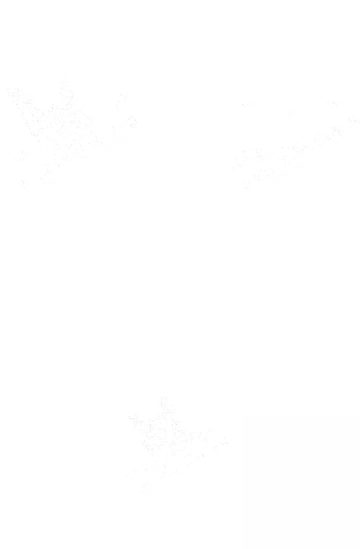 第11话10