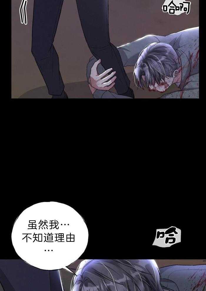 第119话11