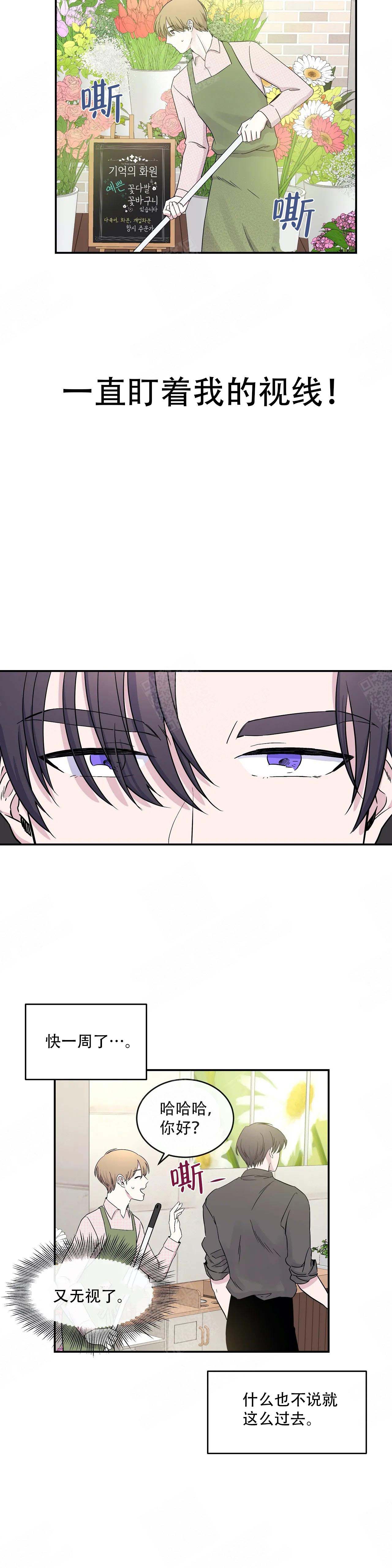 第10话11