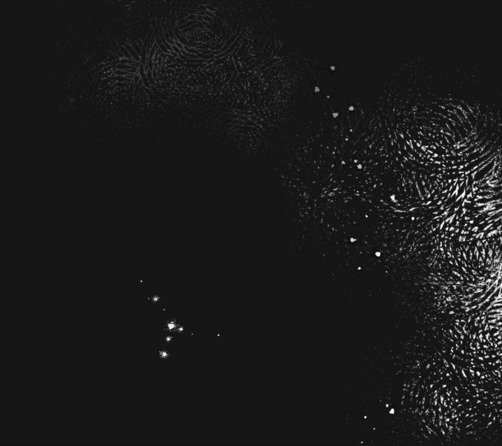 第147话29