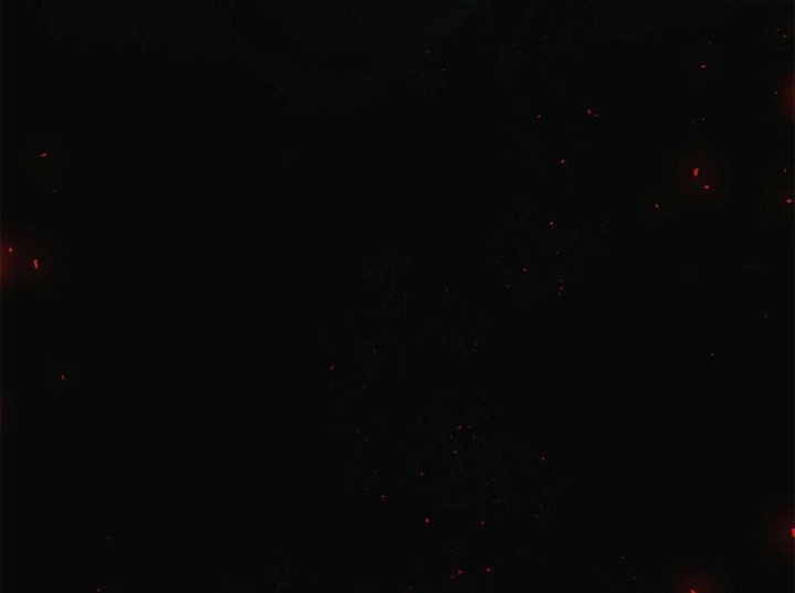 第80话55