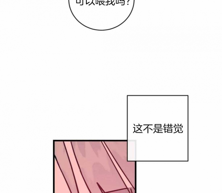 第11话11