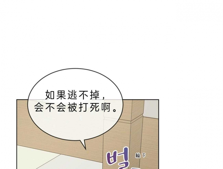 第51话26