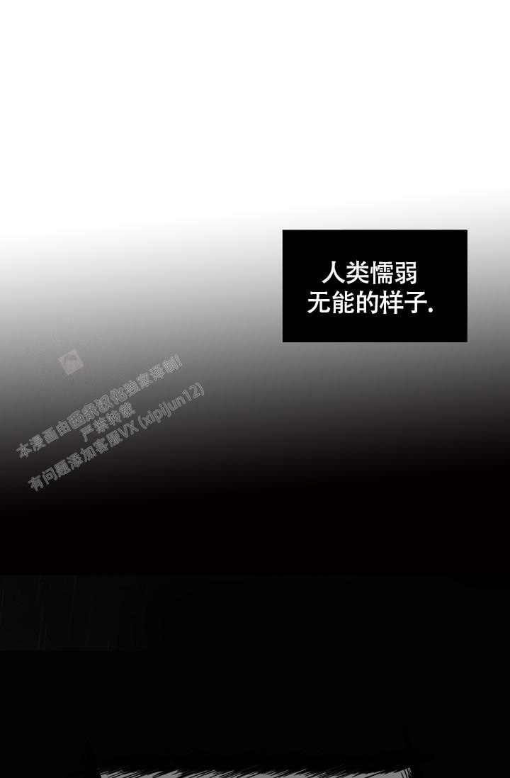 第53话27