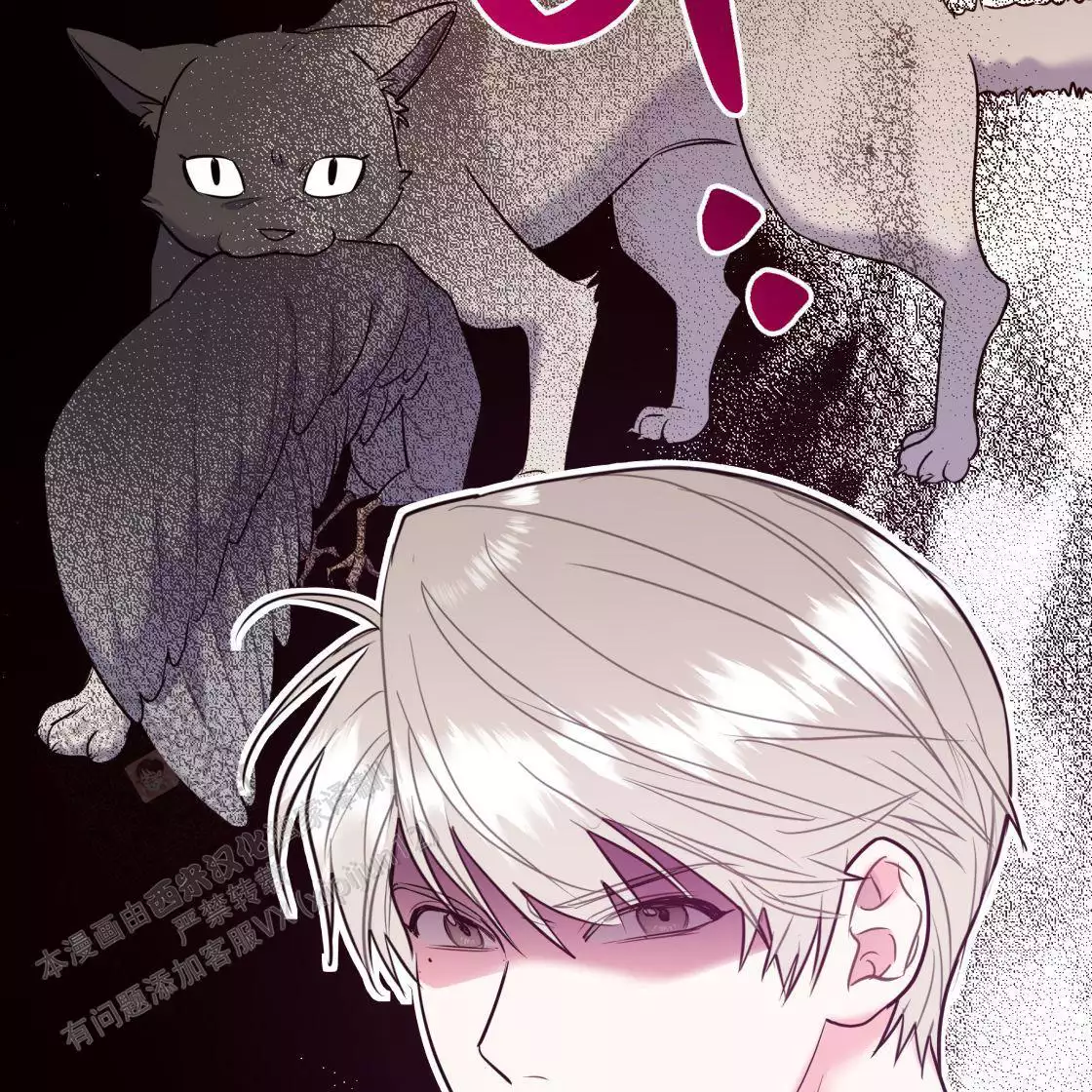 第109话30