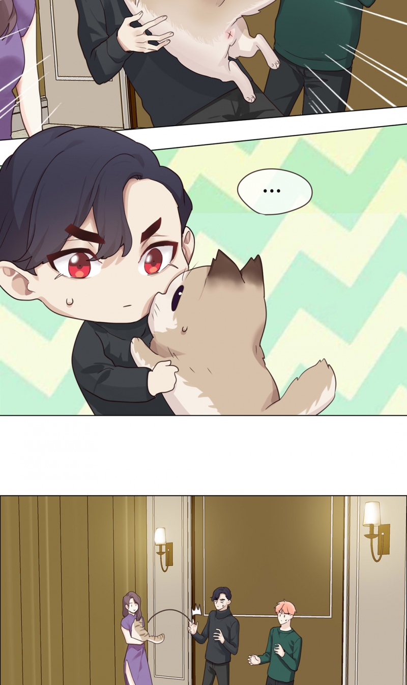 第48话11