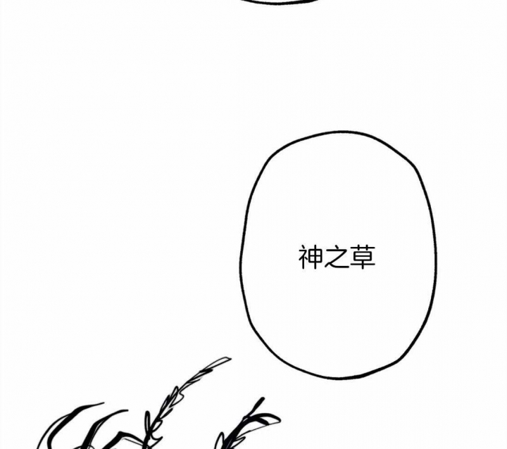 第36话6