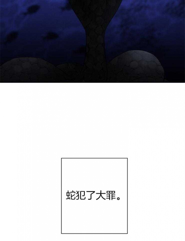 第37话6
